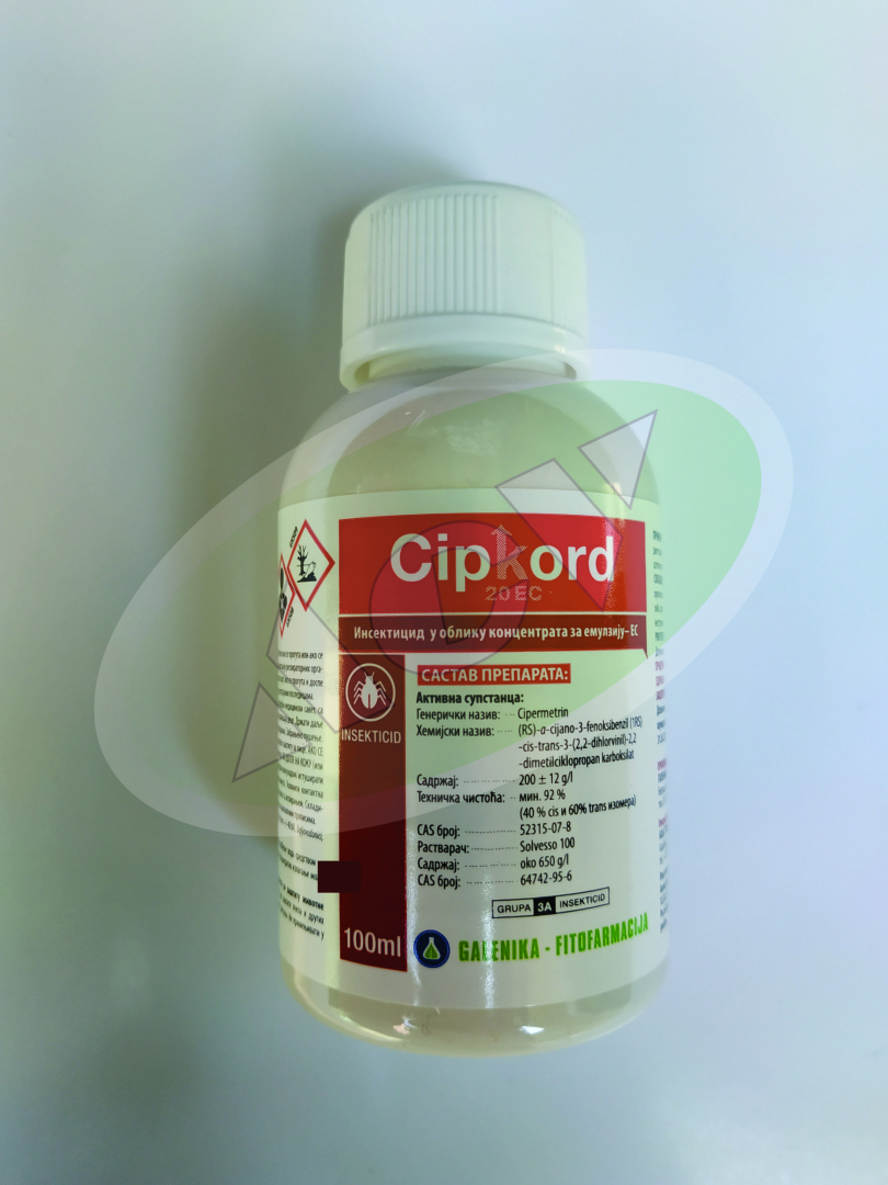 CIPKORD 100ML